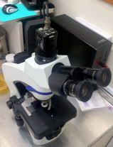 診察室用顕微鏡オリンパス　CX43写真