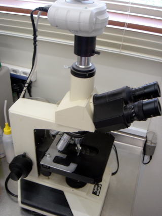 顕微鏡　サブ写真